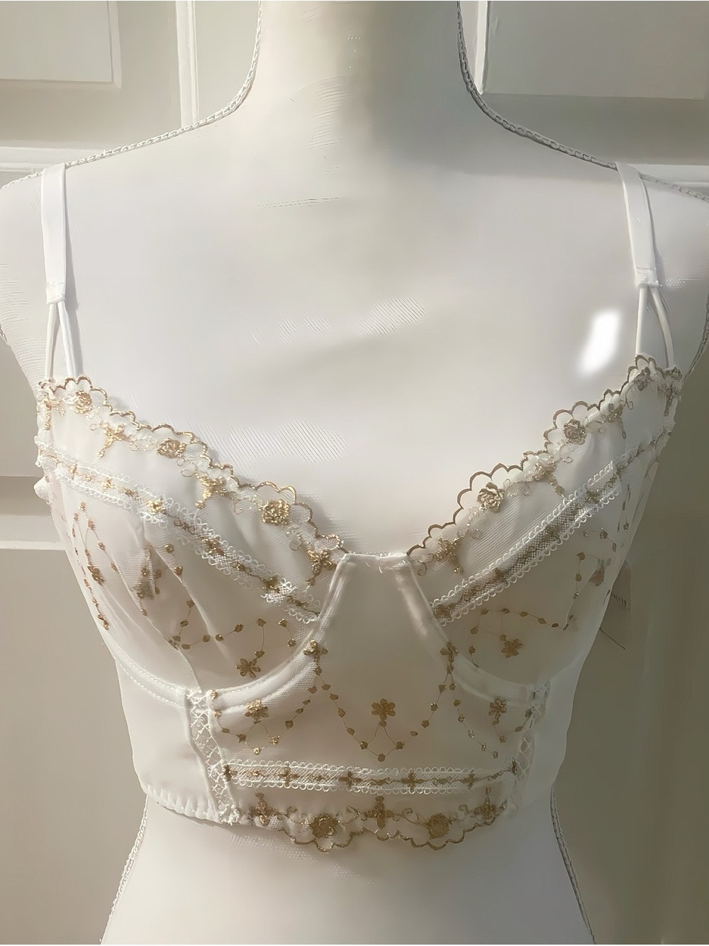 Free People- Vivienne Bustier